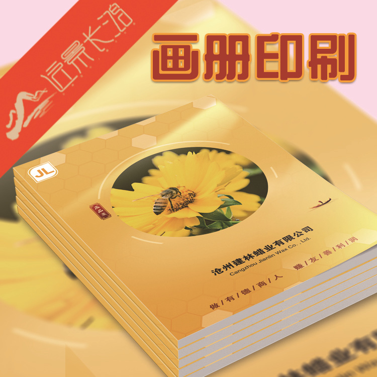 司產(chǎn)品圖冊(cè)說明書  企業(yè)宣傳畫冊(cè)印刷設(shè)計(jì)公 印刷畫冊(cè)